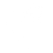 Autofotisteite Autofotisteite